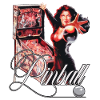 Pinball Flipper Theatre of Magic