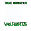 Wolfspitz don't trust Keeshond