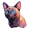 Burma-Katze