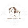 NC Bison Emblem