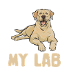Labrador Retriever jaune