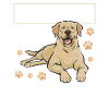 Yellow Labrador Retriever