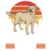 Labrador Retriever jaune