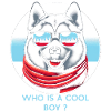 Vitrine Cool Husky