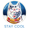 Cool Husky Shades