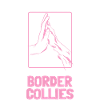 Conception unique pour