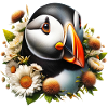 Puffin