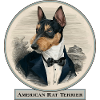 American Rat Terrier - Rattler
