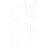 Chien Chiens Pet Dictons Drôles