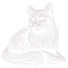 White Cat Patterns Light Strokes