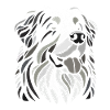 Berner Sennenhund Kopf Schwarz-Weiß