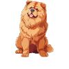 Chowchow