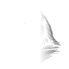 Huskykopf, schwarz-weiß, Hundeschlitten