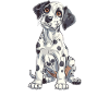 Dalmatian