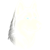 Huskykopf, schwarz-weiß, Hundeschlitten