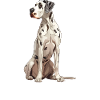 Great Dane