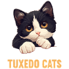 Tuxedo Kitten Tuxedo Cat