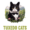 Tuxedo Kitten Tuxedo Cat