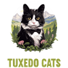 Tuxedo Kitten Tuxedo Cat
