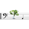 PIANTA - LA