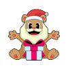 Bear Christmas Package