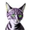 Green-eyed cat