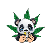 Relaxed Panda