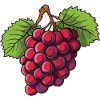 Grapes Fruit
