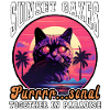 Mesmerizing sunset with feline friend