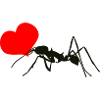 Ant with a heart