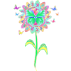 Butterfly Flower Butterfly Flower