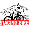 Road cycling - racing bike