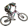 MTB-Abfahrt