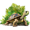 Turtle with tropical leaves Turtles
