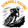 Course de descente