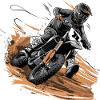 Motorcross Fans