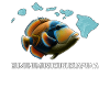 Humuhumunukunukuapua'a Hawaiian Reef Pusher