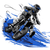 motorcross fans