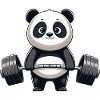 Cool Panda Weightlifting Dumbbell Fitness