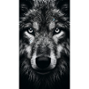 Majestätischer Wolf - Majestic Wolf