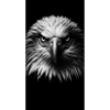 Majestic Eagle - Sovereign Eagle