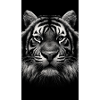 Majestic Tiger - Imperial Tiger