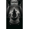 Mächtiges Nashorn - Mighty Rhino