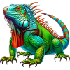 Iguana