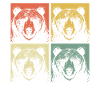 Grizzly Bear Brown Bear