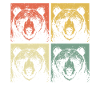 Grizzly Bear Brown Bear