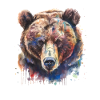 Grizzli Ours brun