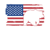 Grizzly Bear Ours brun États-Unis