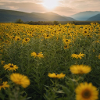 Flower Resplendence