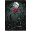 The Purple Rose Tarot